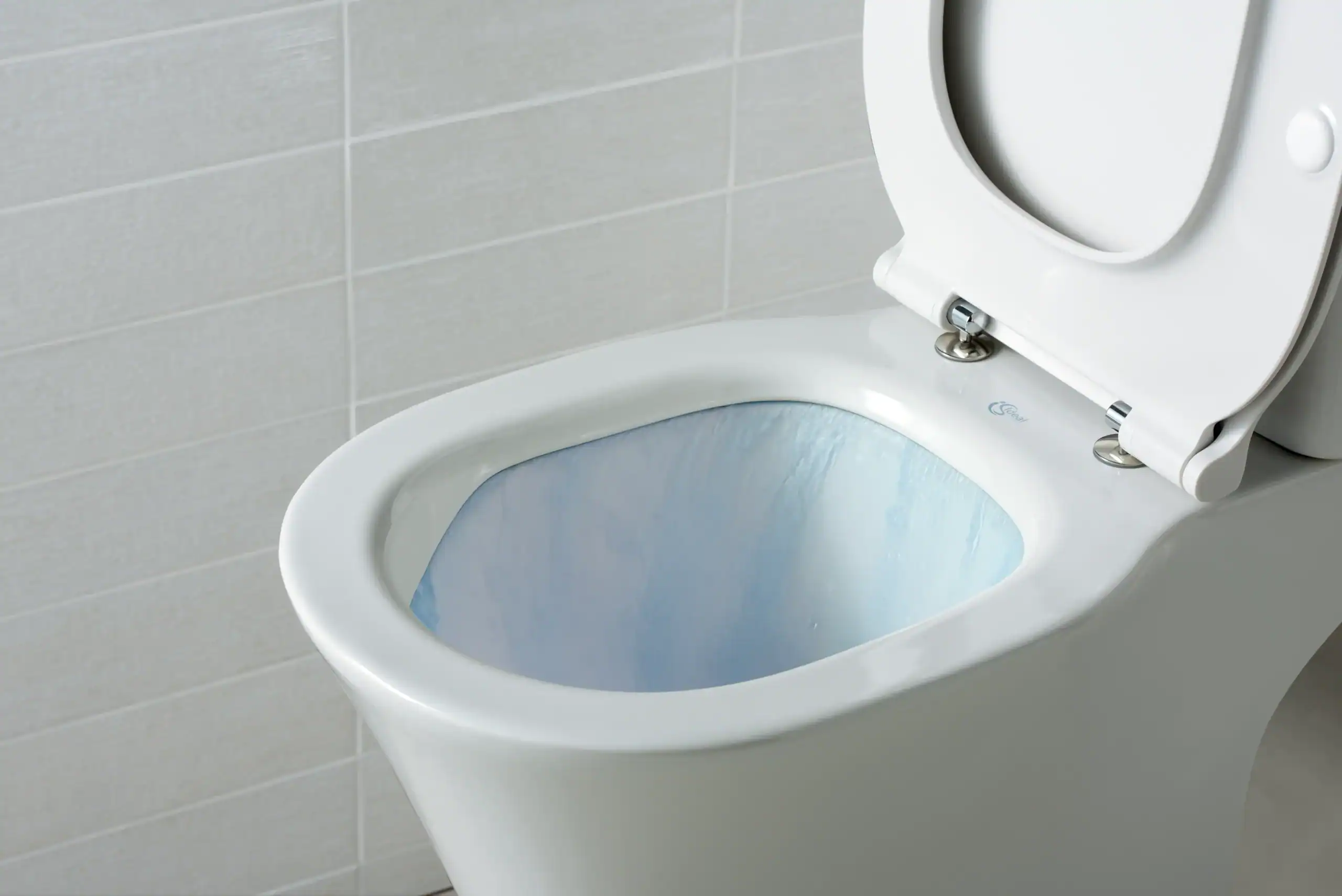 Why Do Toilet Seat Hinges Break? Understanding the Causes and Solutions Why Do Toilet Seat Hinges Break? Understanding the Causes and Solutions