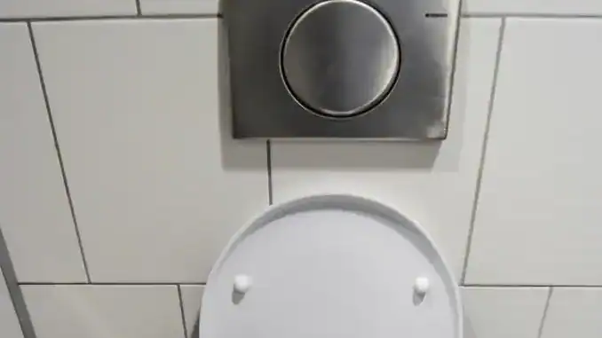 Discover the Excellence of Metropole Flush Valves: A Smart Choice for Your Bathroom Free open toilet seat bathroom