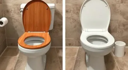 Wood vs. Plastic Toilet Seat Cover