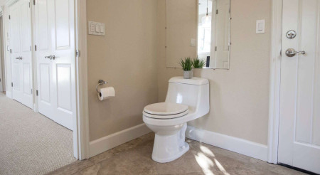 toilet seat