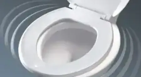 toilet seat hinges